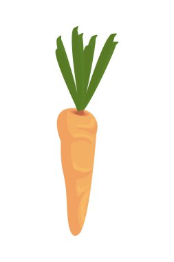Havuç taze sebze ikonu.