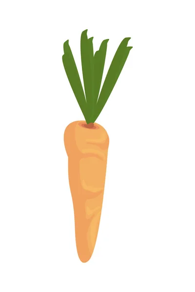 Ikon alami sayuran segar wortel - Stok Vektor