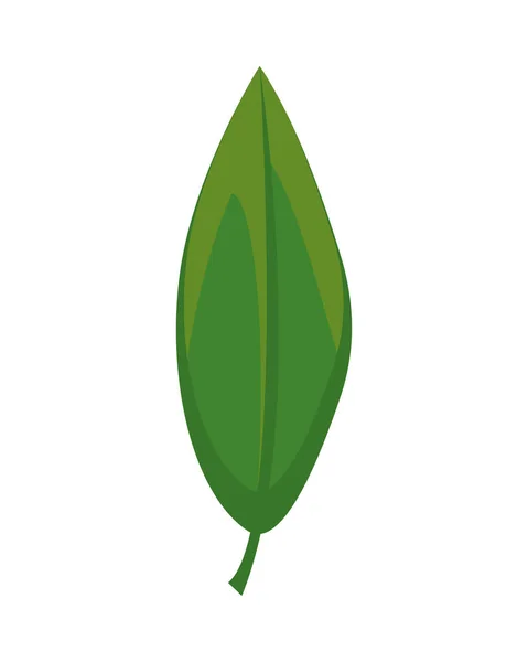 Frunze plante natura izolat icoană — Vector de stoc
