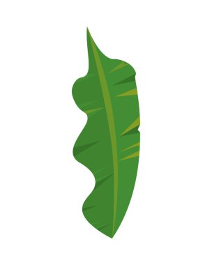 Yaprak bitkisi doğa izole simgesi