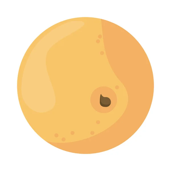 Икона природы из апельсина — стоковый вектор