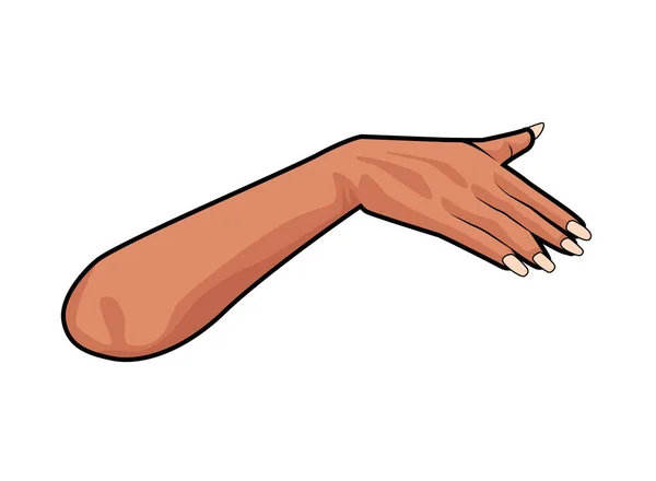 Frau Hand menschliche Ikone isoliert — Stockvektor