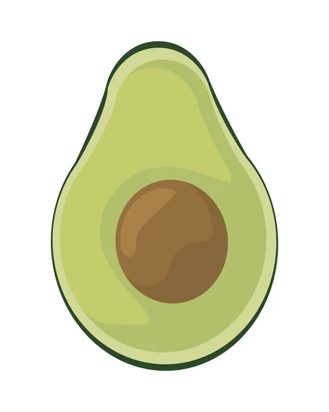 Half avocado vers groente natuur icoon — Stockvector