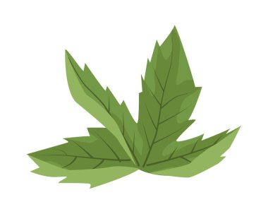 Yapraklar bitkiler doğa izole ikonlar