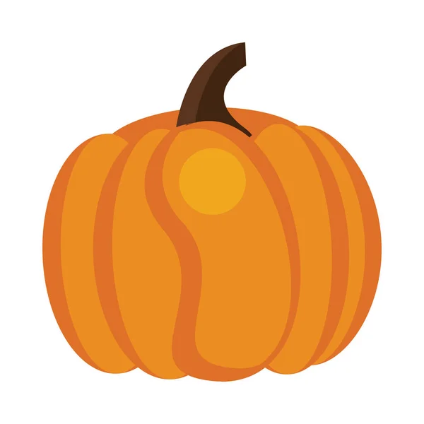 Pumpkin autumn fruit seasonal icon — Stock Vector