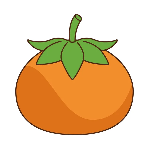 Orange citrus fruit nature icon — Stock Vector