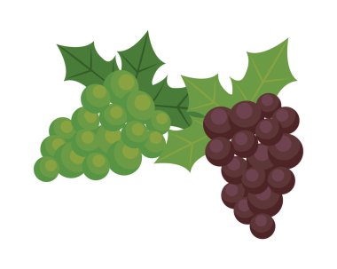 Üzümler taze meyve ikonu