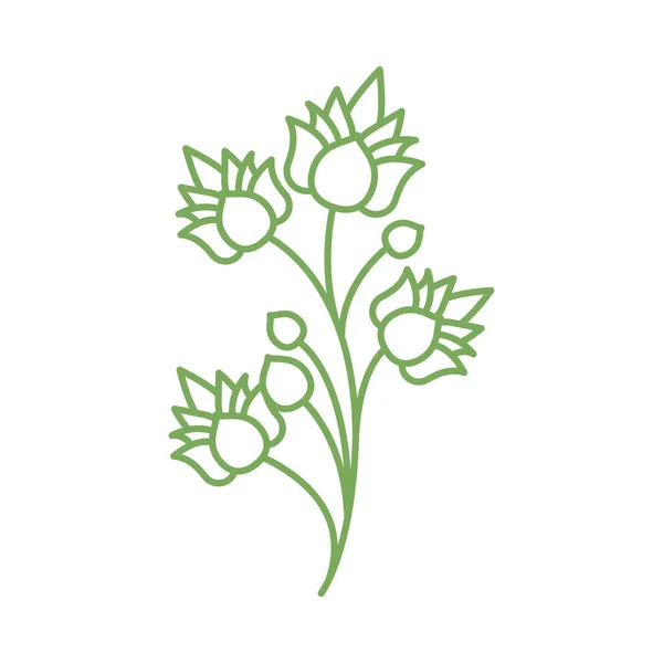 Branche avec feuilles plante nature icône — Image vectorielle