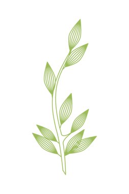 Yapraklı dal bitki doğa simgesi