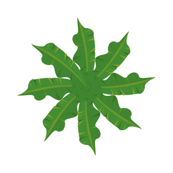 Feuillus plantes nature décoration circulaire — Image vectorielle