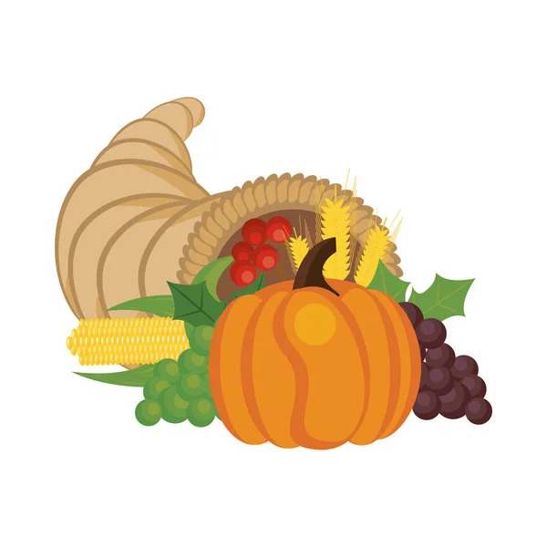 Zucca e frutta in autunno corno — Vettoriale Stock