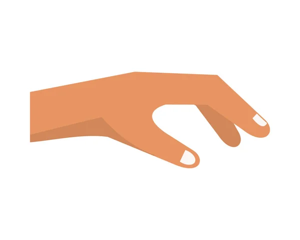 Рука людини дає ізольовану ікону — стоковий вектор