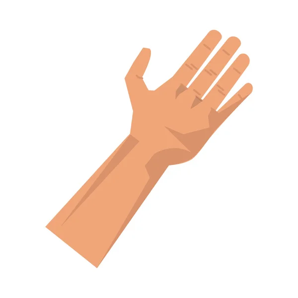 Hand human position isolated icon — Stock Vector