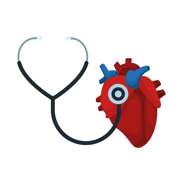 Stethoscope cardio medical tool with heart — Stock Vector