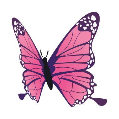 pembe kelebek uçan böcek simgesi