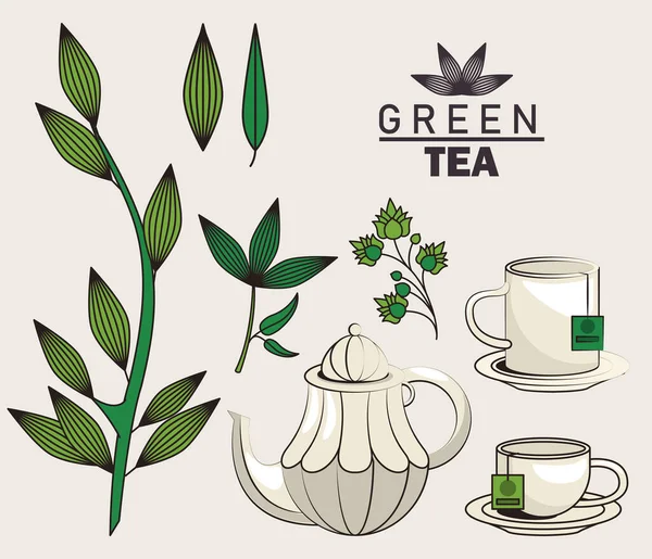 Плакат з зеленого чаю з посудом та листям — стоковий вектор