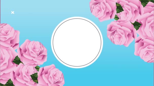 Pink roses flowers with circular frame animation — Stock Video