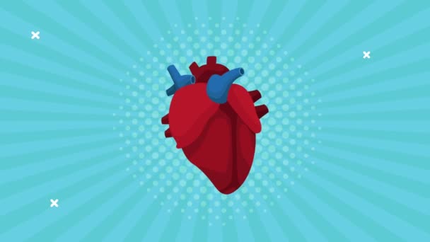 Animação do dia do coração mundial com órgão — Vídeo de Stock
