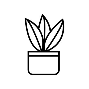 kare saksı çizgisi biçiminde ev bitkisi