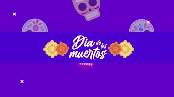 Dia de los muertos lettering celebração com flores e crânios padrão — Vídeo de Stock