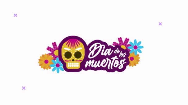 Dia de los muertos lettering celebration with skull and flowers frame — Stock Video