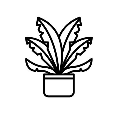 Seramik saksı çizgisi biçimindeki büyüme bitkisi