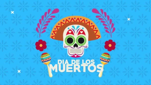 Día de los muertos celebración con sombrero de mariachi y flores — Vídeos de Stock