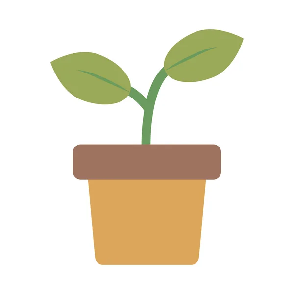 Rostlina v keramické hrnci plochý styl ikony — Stockový vektor
