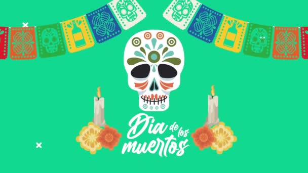 Día de los muertos celebración de letras con cráneo y guirnaldas — Vídeo de stock