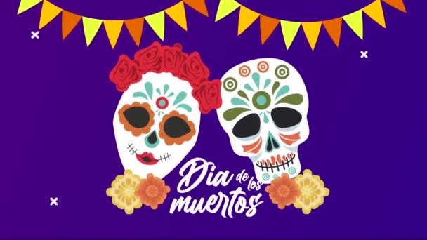 Dia de los muertos lettering celebration with skulls heads and garlands — Stock Video