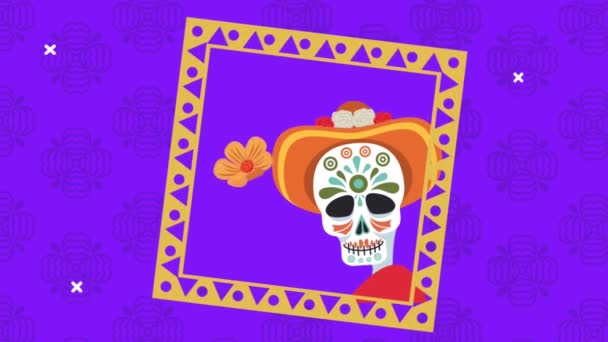 Dia de los muertos celebração com crânio vestindo chapéu em quadro quadrado — Vídeo de Stock