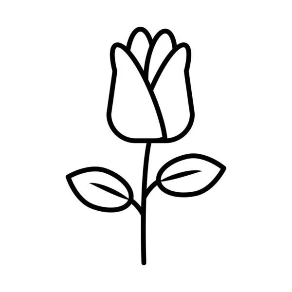 Ros blomma linje stil ikon — Stock vektor