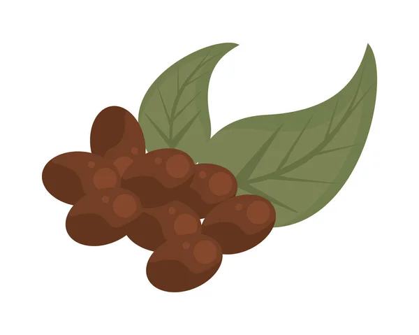 Kávénövény gabona és levelek természet lapos ikon — Stock Vector