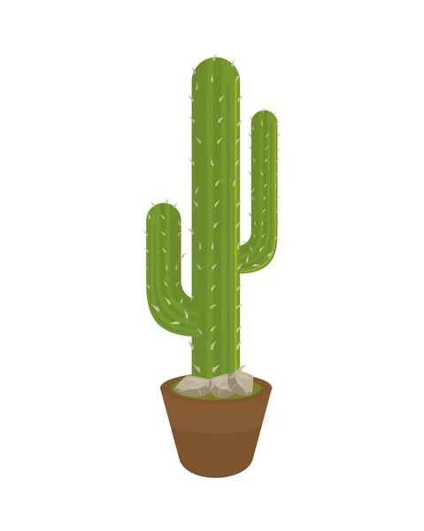 Plante mexicaine de cactus en pot en céramique style plat — Image vectorielle