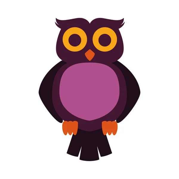 Owl bird animal isolated icon — Stock Vector