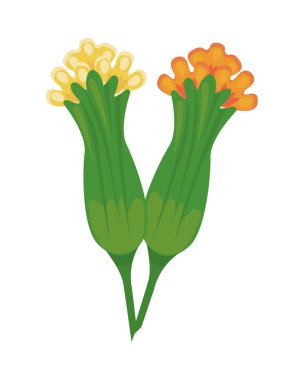 Çiçek bahçesi doğa izole ikonu