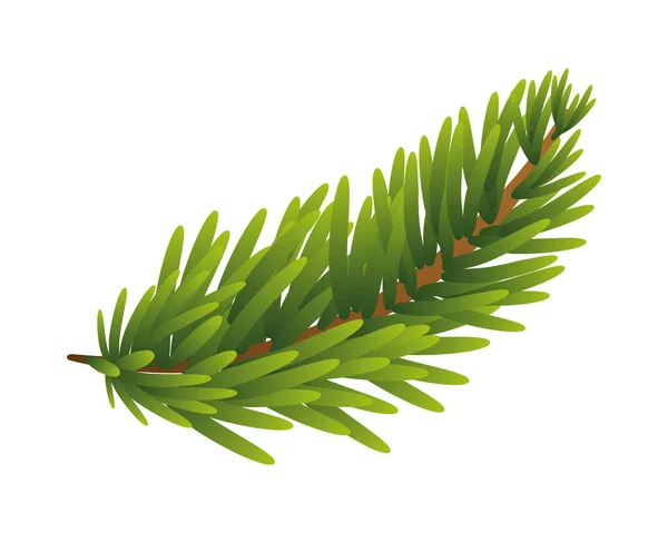 Pine branch christmas isolated icon — Stock Vector