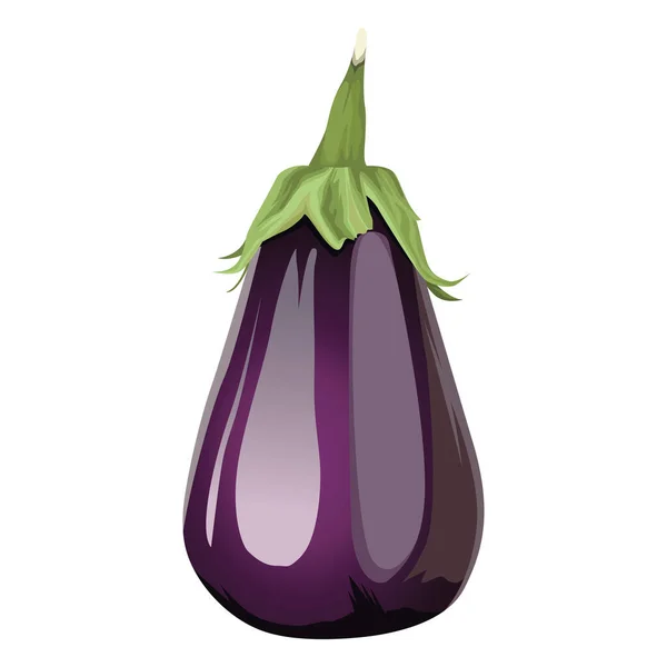 Świeże bakłażan warzywa zdrowa ikona — Wektor stockowy