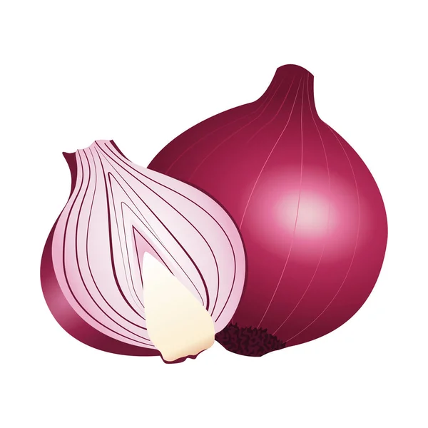 Cebolla fresca vegetal icono saludable — Archivo Imágenes Vectoriales