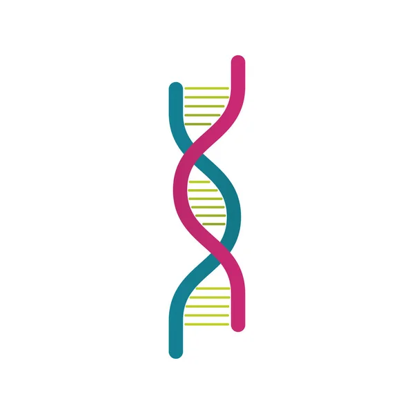 DNA分子構造の単離アイコン — ストックベクタ