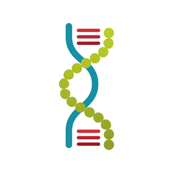 Struktura cząsteczek DNA izolowana ikona — Wektor stockowy