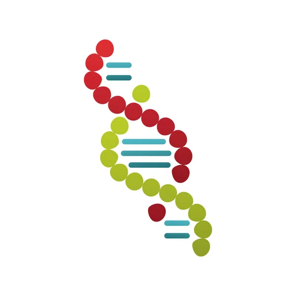Ізольована піктограма структури молекули ДНК — стоковий вектор