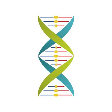 DNA molekül yapısı izole edilmiş simge