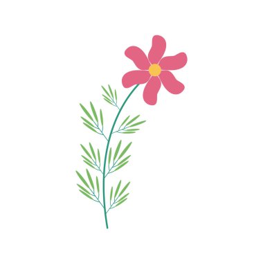 Dal düz elementte pembe çiçek ve yapraklar