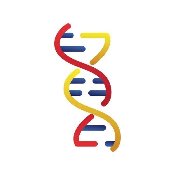 Dna 분자 구조 고립 된 아이콘 — 스톡 벡터