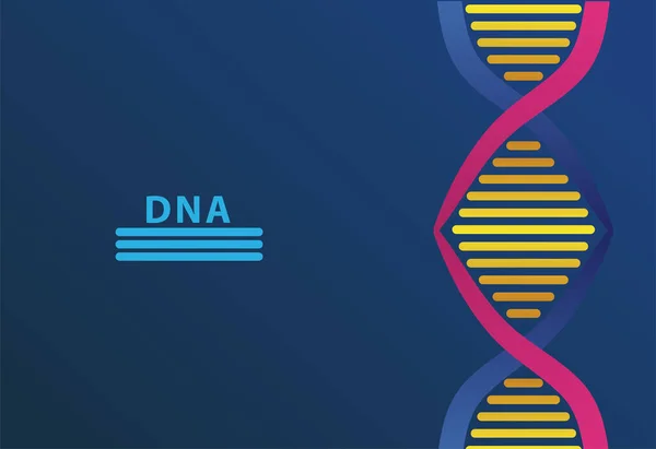 DNA molekül yapısı ve mavi arkaplanda harfler — Stok Vektör