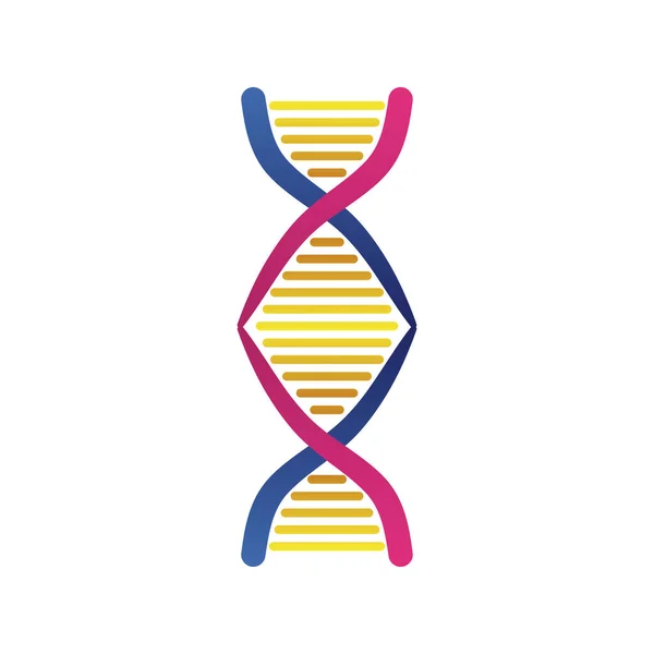 Ізольована піктограма структури молекули ДНК — стоковий вектор