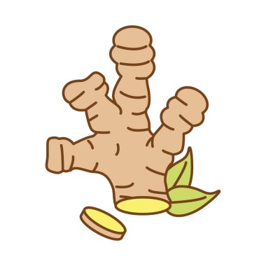 Zencefilli bitki ve yapraklar stili doldurur