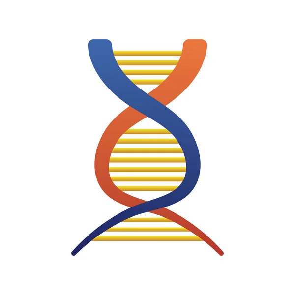 DNA molekül yapısı izole edilmiş simge — Stok Vektör