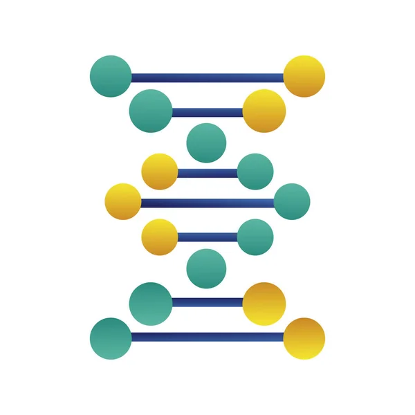 Izolovaná ikona struktury molekuly dna — Stockový vektor